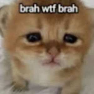 Meet your Posher, Genesis